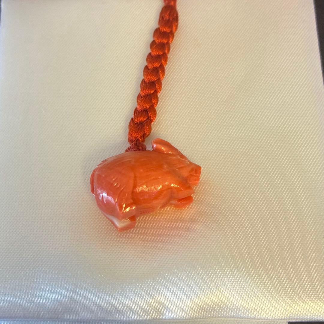 谷口康隆 作 猪 百貨店購入 根付 チャーム ストラップ 珊瑚