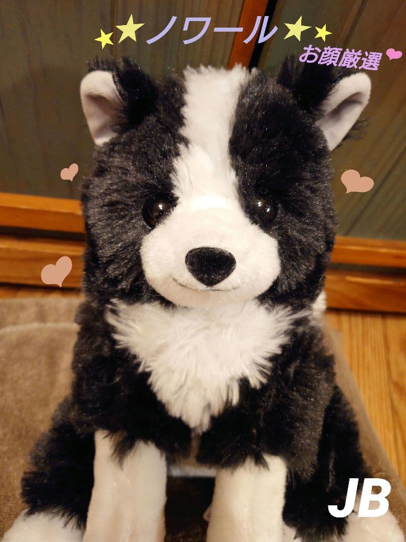 くったりボーダーコリー おりこうさん  ノワール  JB ≪1月の新商品≫くったりボーダーコリーおりこうさん☆アミューズ