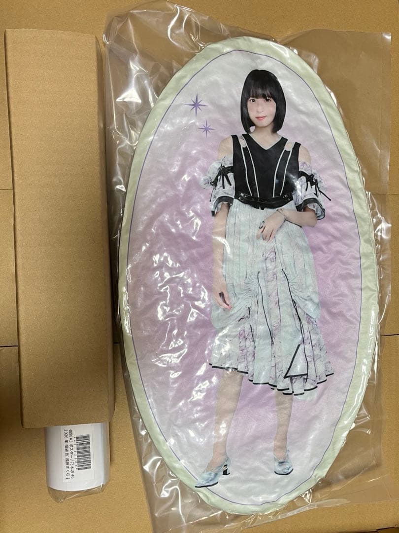 乃木坂46 2026 福袋B 個別クッション・A3ポスター(遠藤さくら) - メルカリ