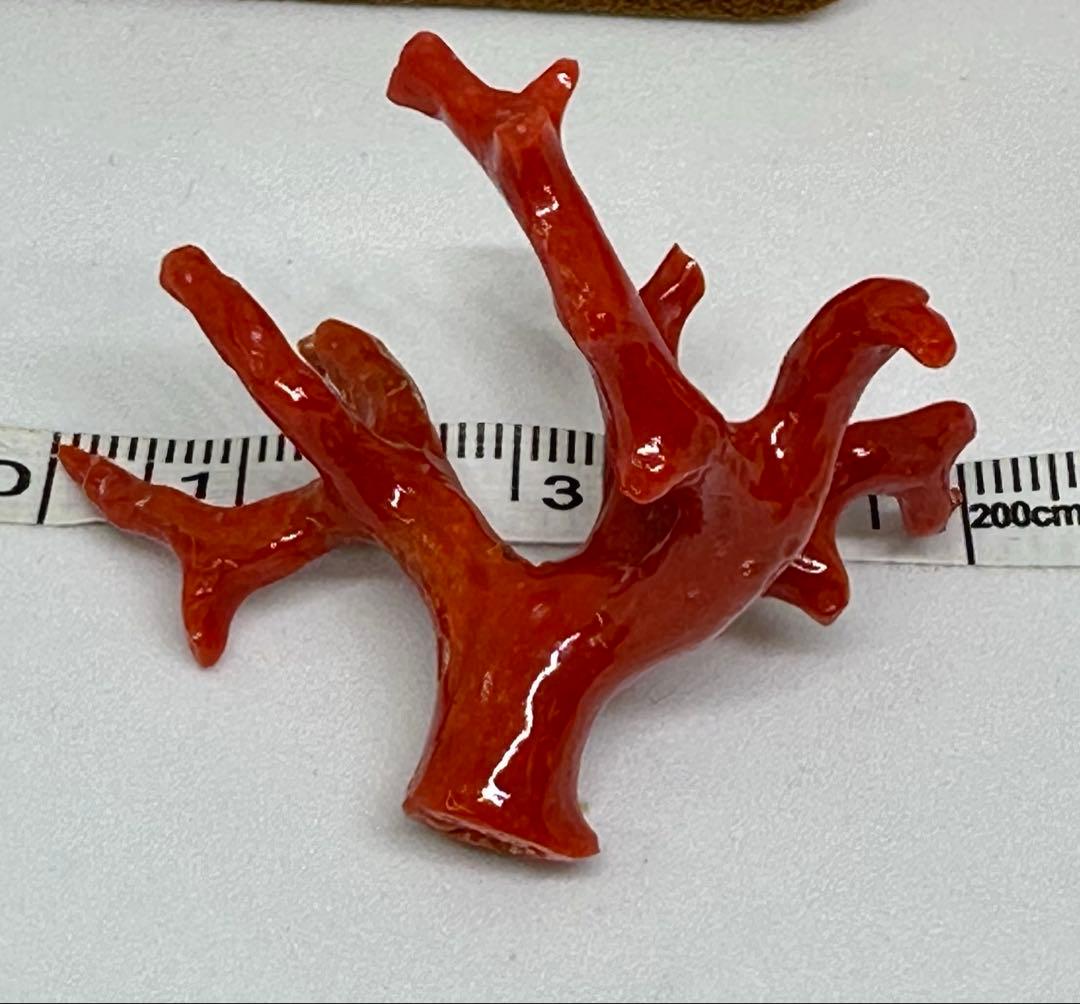 10276天然珊瑚原木の置き物、又は穴あるからアクセサリーにも最適 日本 高知産血赤珊瑚 原木 拝見 置物 素材 枝 パーツ 宝石サンゴ 珊瑚