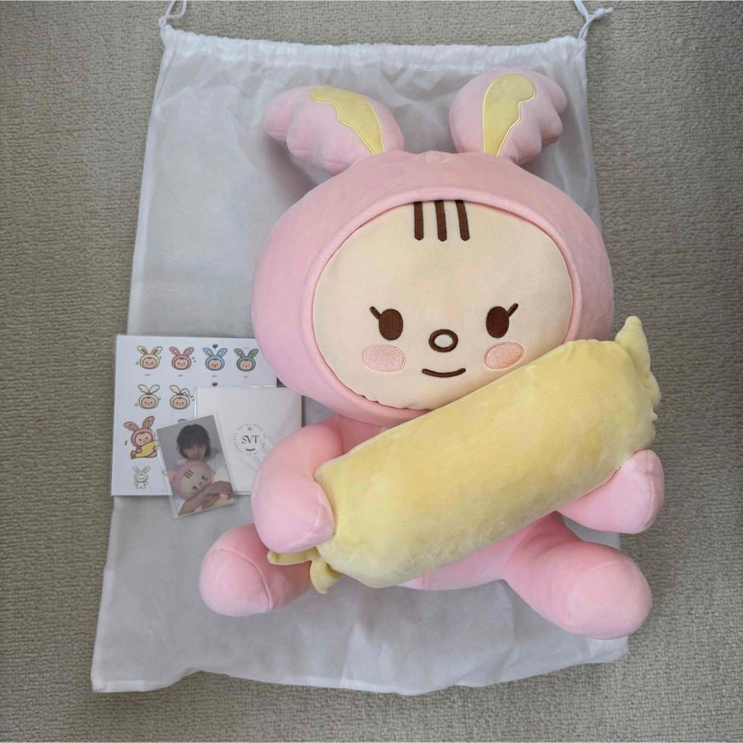 つ  トリックスター / Ninja ZX-4R SE /ZX-4RR(24-26) 政府認証フル