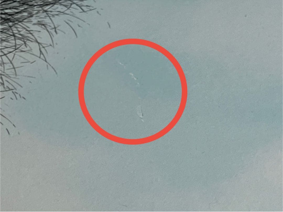 ジャック・デペルト「ブルアールのキャナル」リトグラフ 直筆サイン有