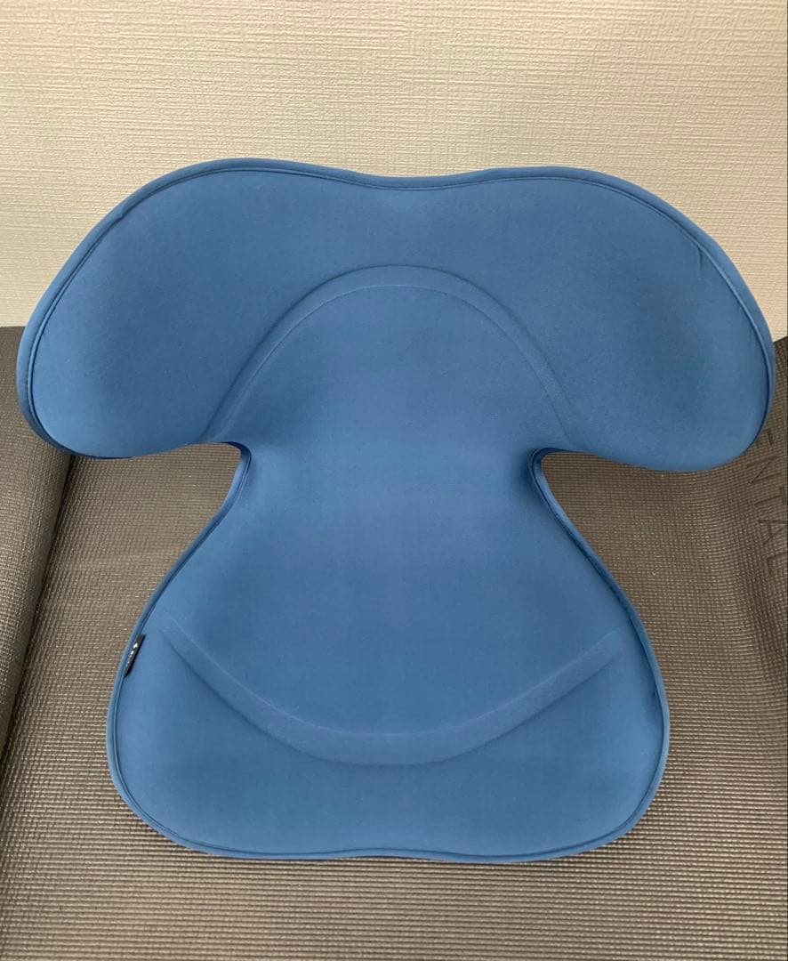 Style SMART 姿勢矯正クッション Style（スタイル） ○ポイント10倍！○ MTG公式ストア スマート Style