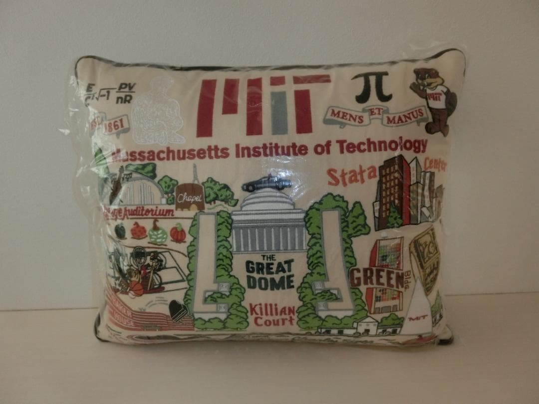 新品・未使用品　MIT マサチューセッツ工科大学 クッション champion チャンピオン 90年代 MASSACHUSETTS MIT ENGINEERS