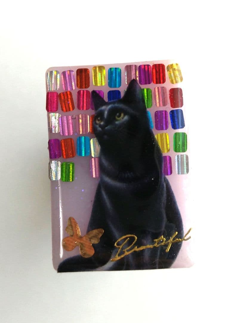 NO.331❤黒猫 秋❤レジンヘアゴム ブローチ