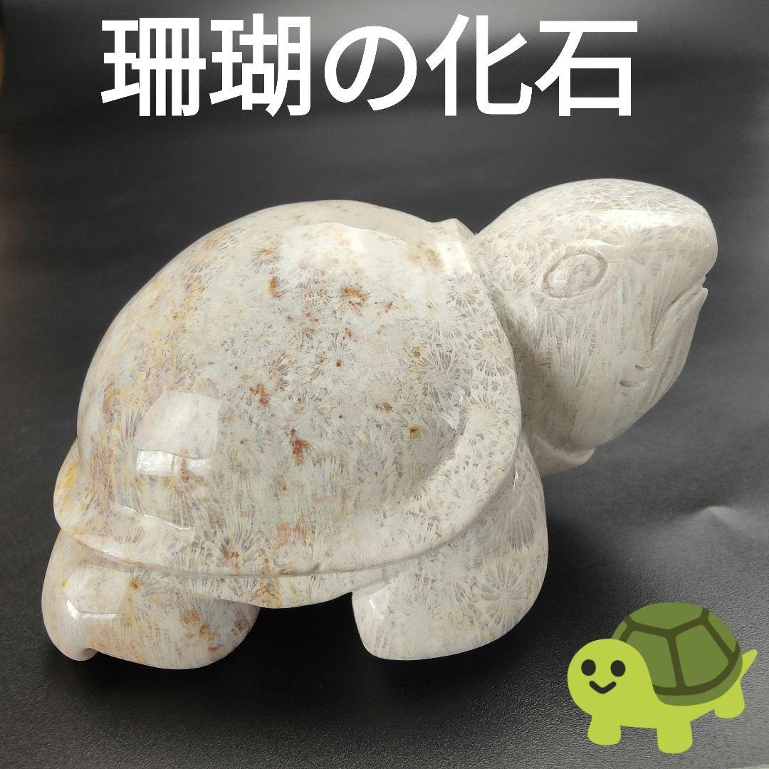 2 サンゴの化石　亀　(大)　天然石　 菊目石　珊瑚　コラール　縁起物　魔除け 3 サンゴの化石 亀 (大) 天然石 菊目石 珊瑚 コラール 縁起物 魔除け