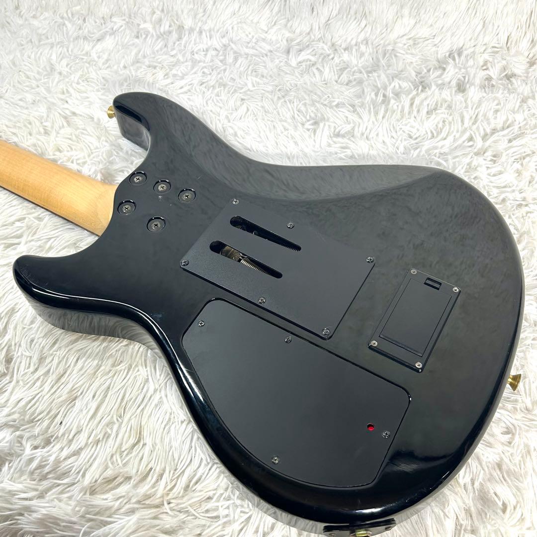 希少】Fernandes APG-85S GLAY HISASHI愛用モデル - メルカリ