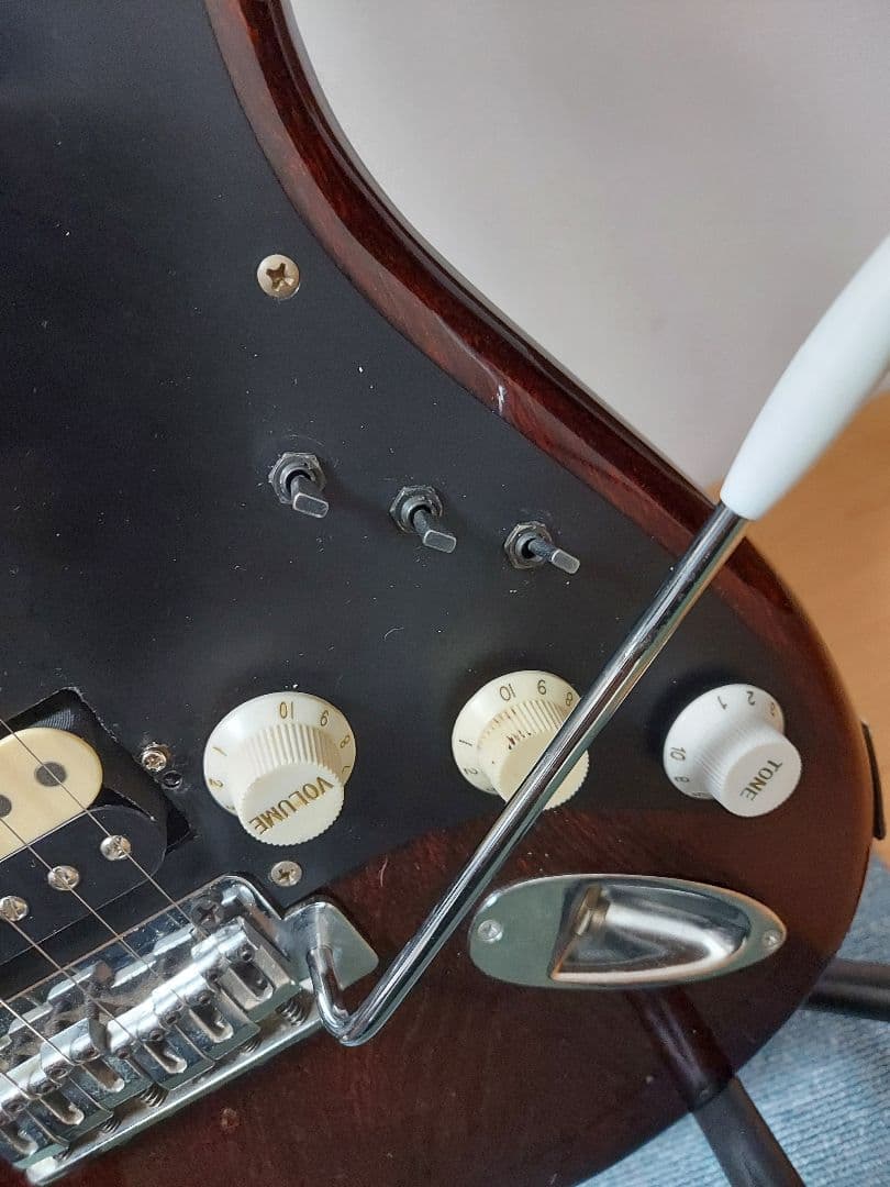 ビルローレンス ストラトタイプ Mod アッシュボディ SSH - メルカリ