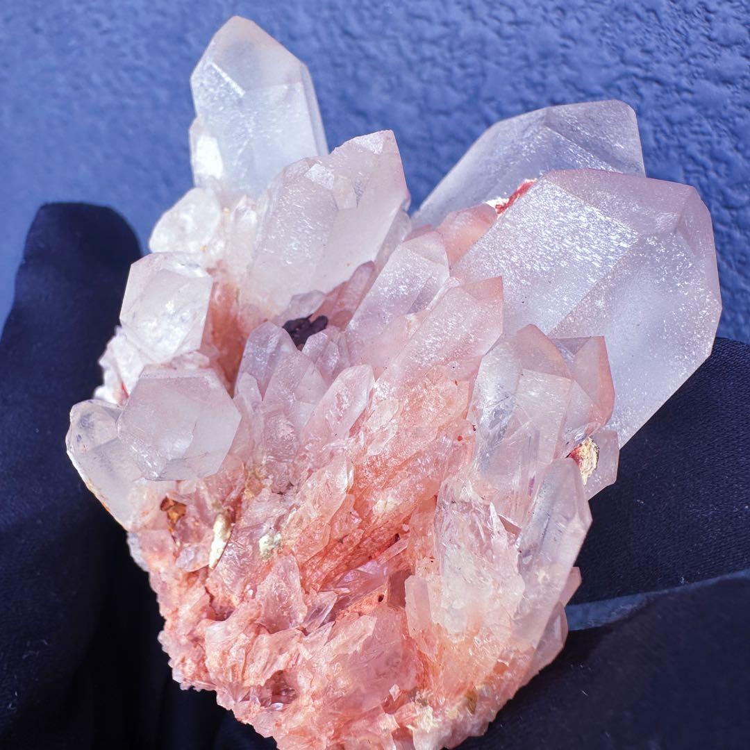 爆アレ❗️可愛いピンク♡超綺麗マダガスカル産パイナップルピンククラスターA1470