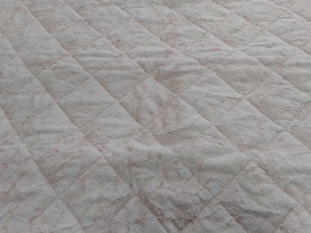 ☆未使用☆ CHARLE シャルレ 敷きパッド RA221 ベージュ シングル