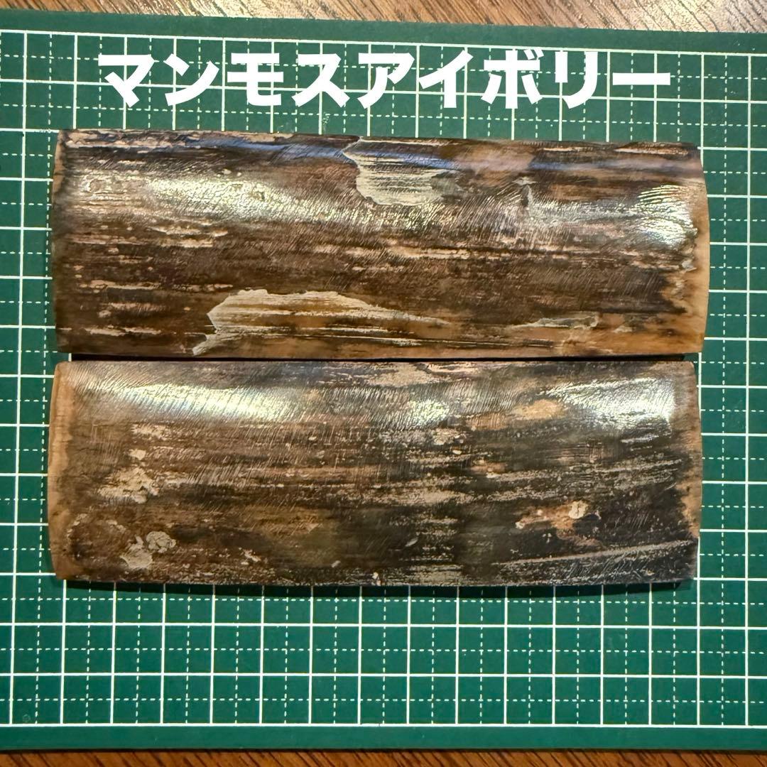 カスタムナイフハンドル材　マンモスアイボリー ナイフ用ハンドル材 323230 マンモスアイボリー 20x100 (2枚1組