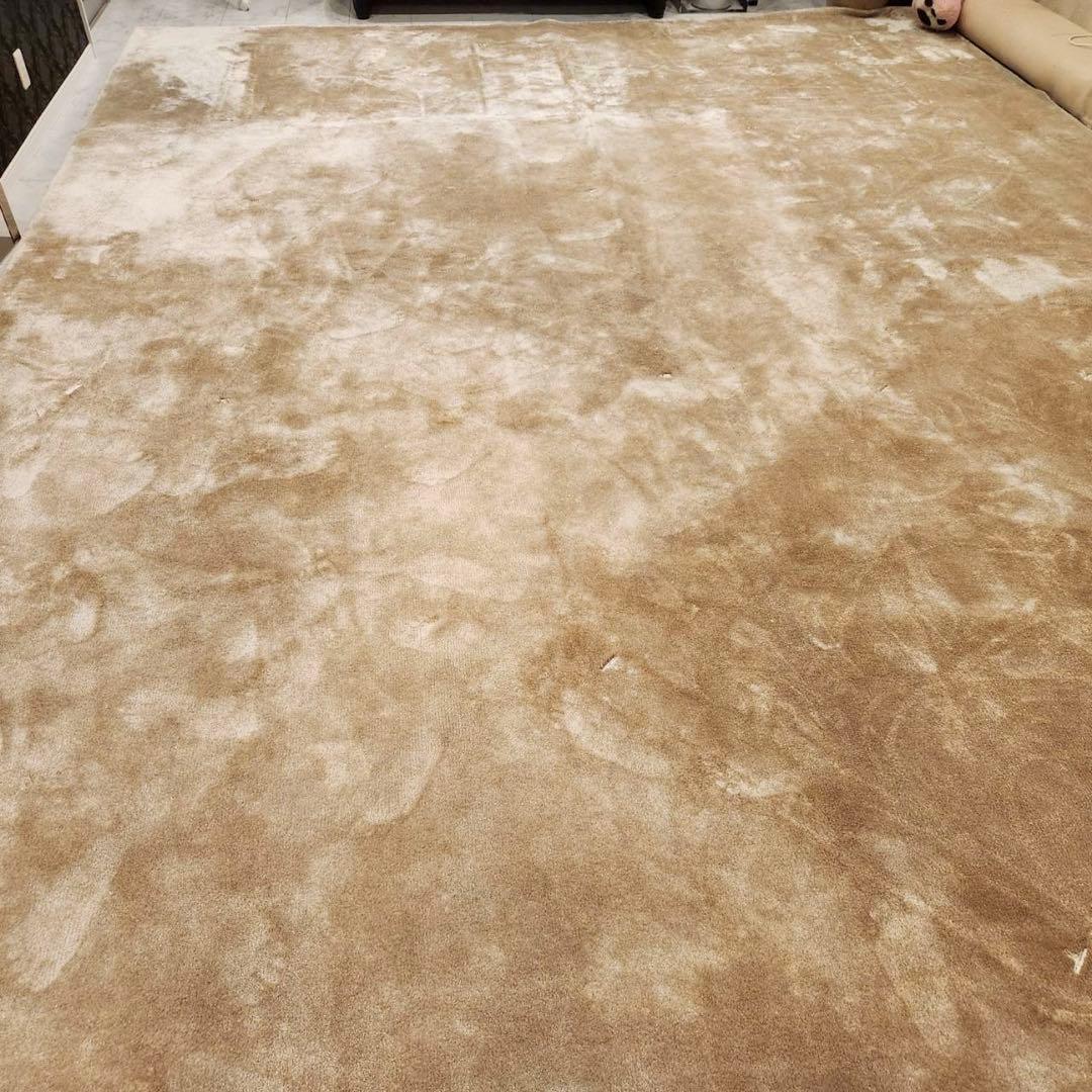 最高級！Fisba フィスバ Saga サーガ 80740ラグ単品 絨毯347万 - メルカリ