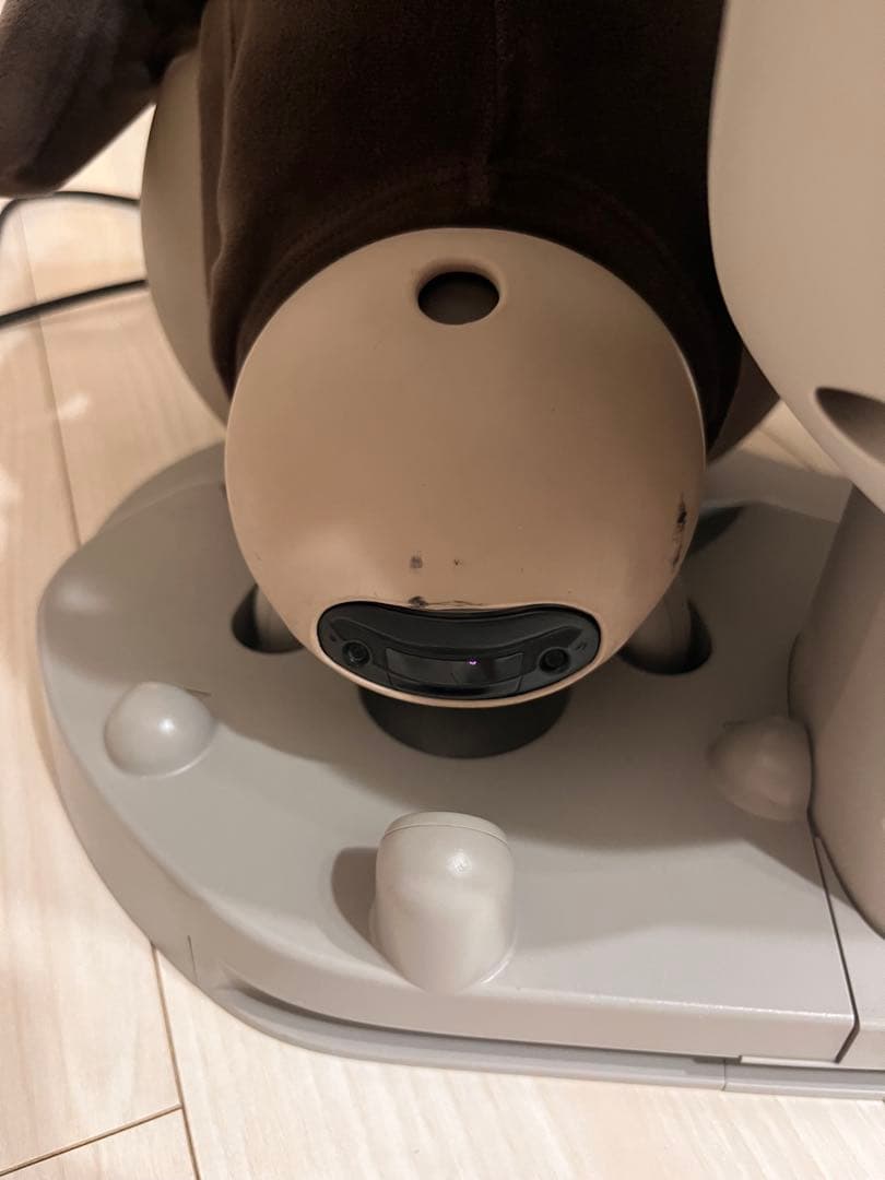 LOVOT 初代 デュオ 2020年頃購入 - メルカリ