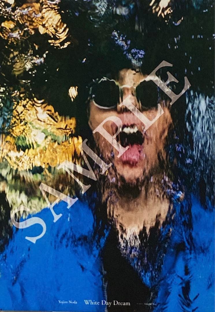 野田洋次郎 RADWIMPS White Day Dream ポスターA 限定 - メルカリ