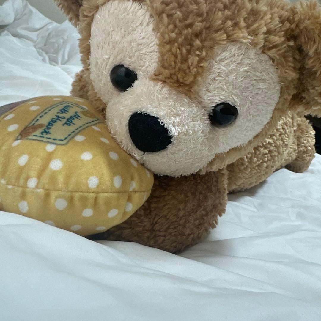 ダッフィーぬいぐるみ Amazon.co.jp: ジャーニー ウィズ ダッフィー スペシャルプラッシュ