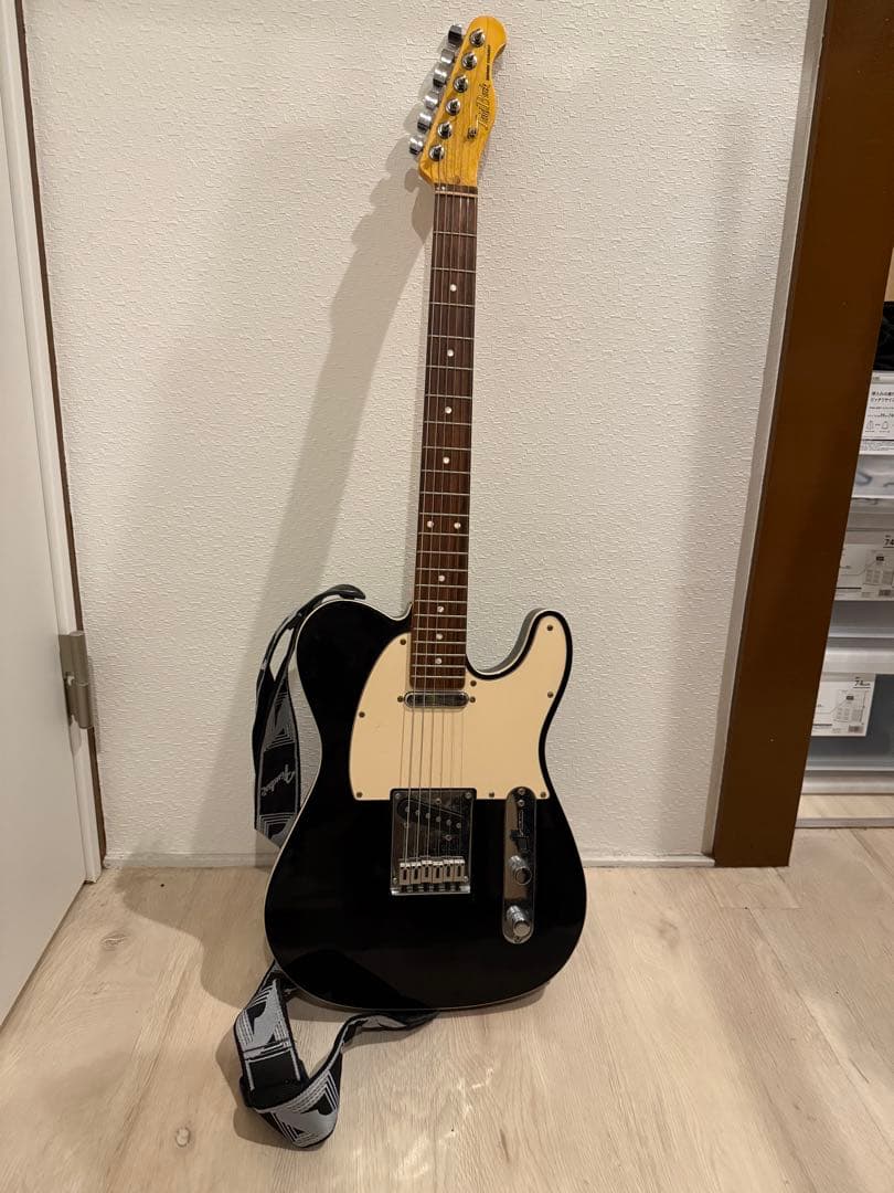 Laid back レイドバック　テレキャスター　LTE-5R ギター入荷情報！LaidBack(レイドバック) LTE-5R｜島村楽器 イオン