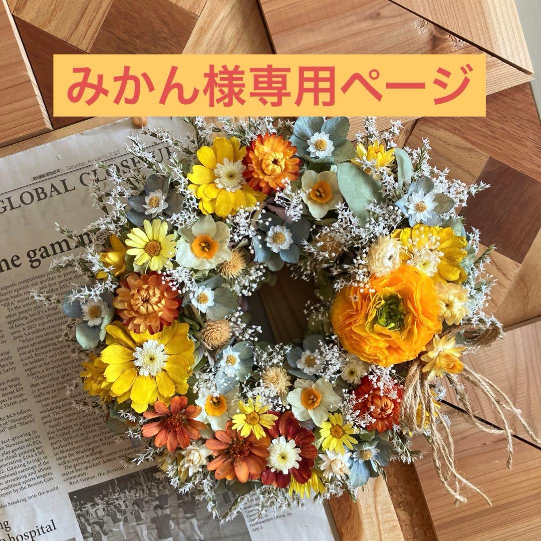 みかんページ みかん 【昇果園】 S~M 10kg 約100～130個 家庭用 静岡県 浜松市 蜜柑