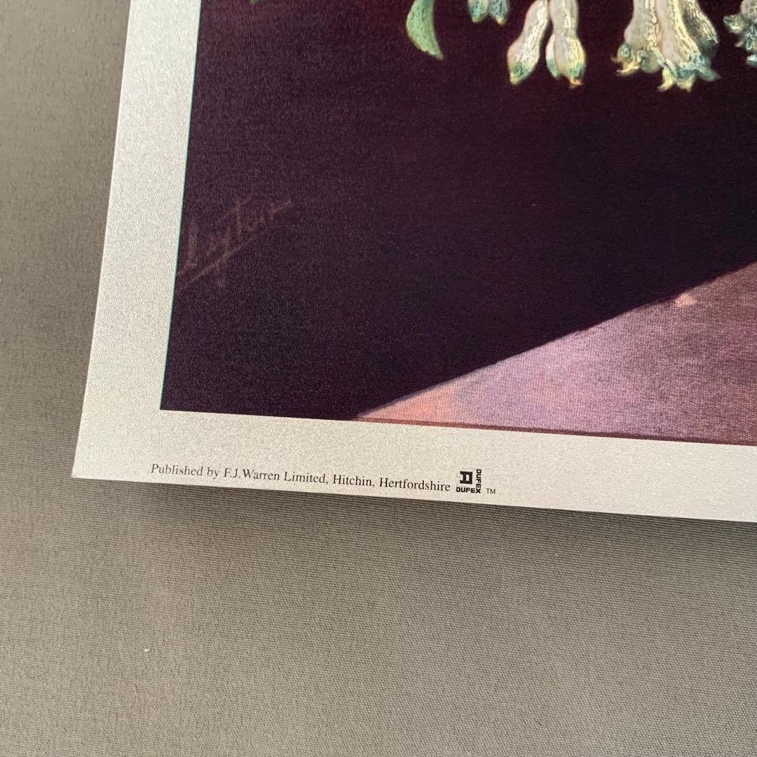 【新品・未使用】DUFEX 英国製 エッチングアート 春の花