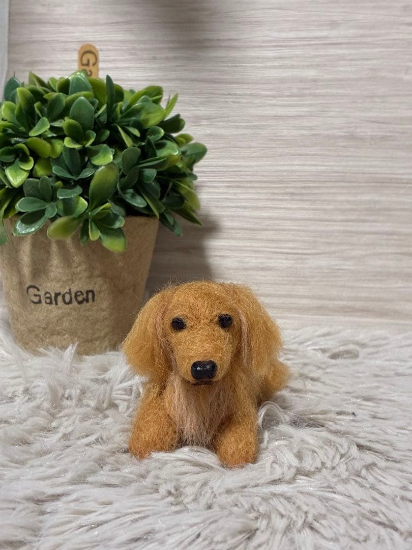 羊毛フェルト ♡ミニチュアダックス♡ - メルカリ