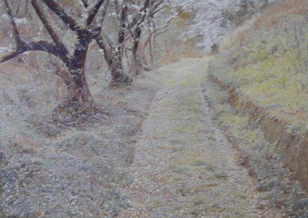 鶴田憲次、【The Earth-SAKURA・和束仁丹】、希少な額装用画集より