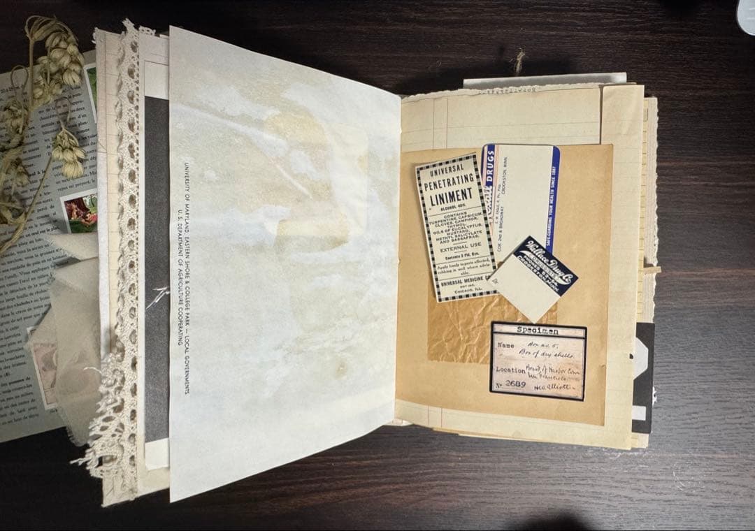 紙モノ】ジャンクジャーナル No.32【雑記帳】 - メルカリ