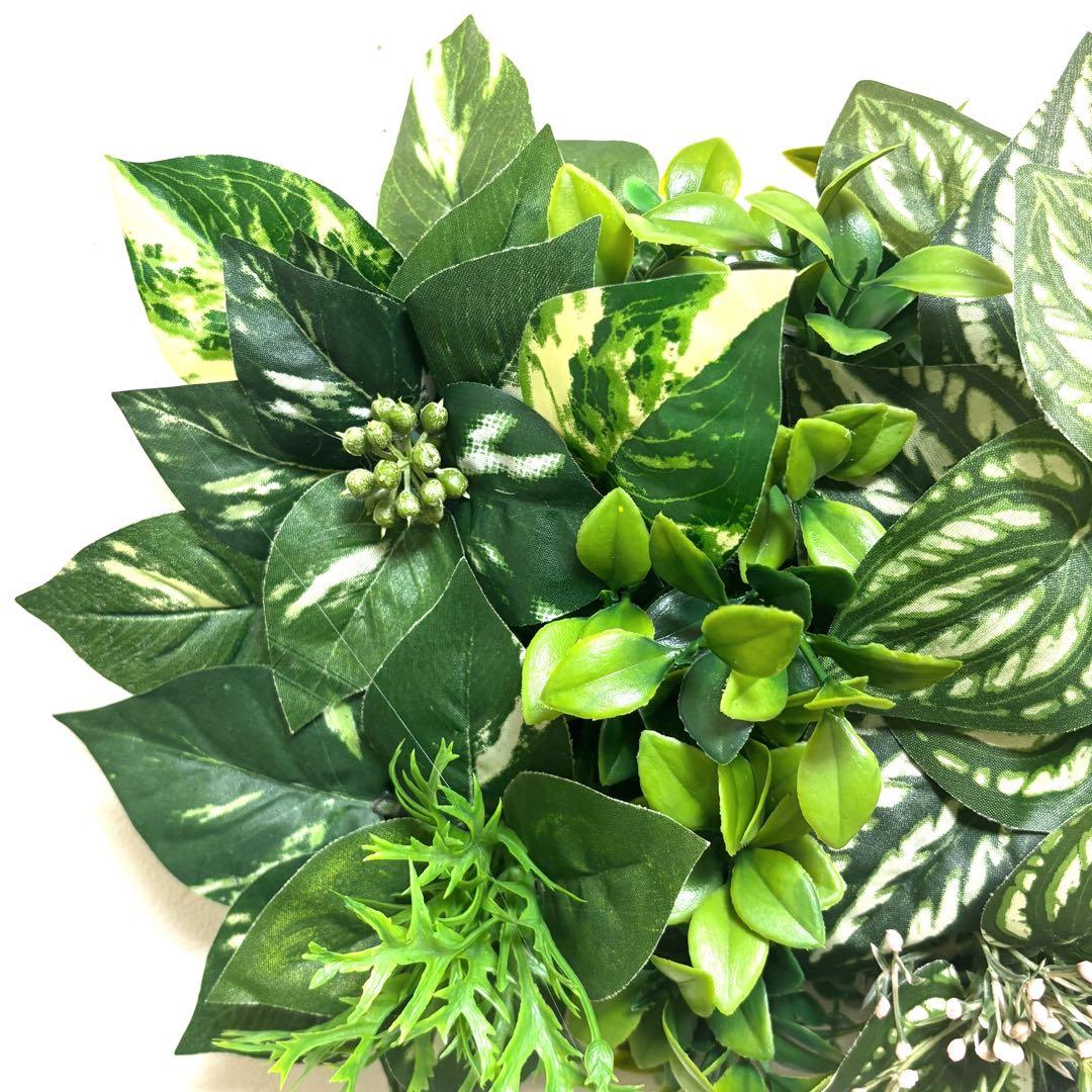 光触媒加工ウォールグリーン フェイクグリーン壁掛け♡(森3) - メルカリ