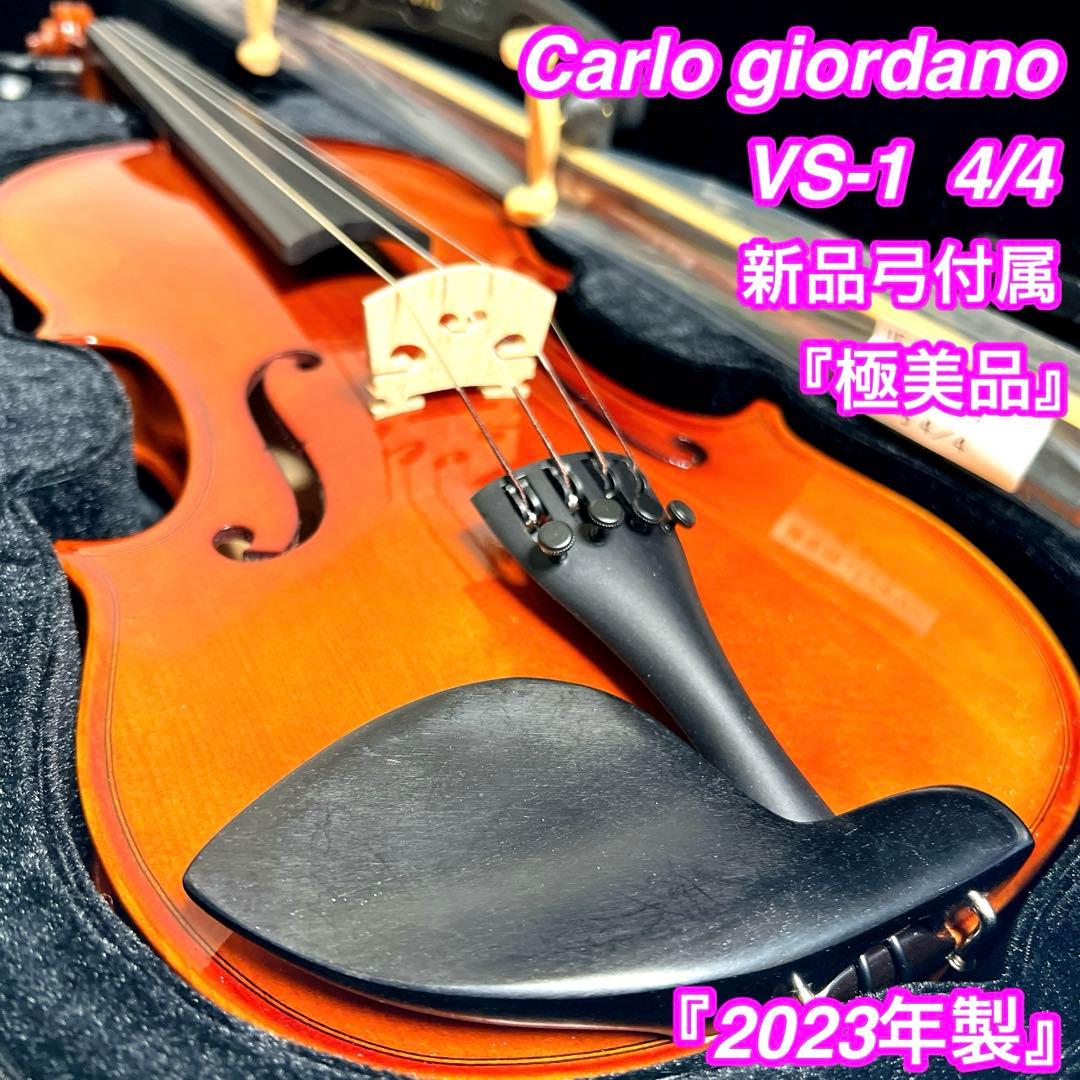 極美品】Carlo giordano VS-1 4/4 バイオリン 2023年 - メルカリ