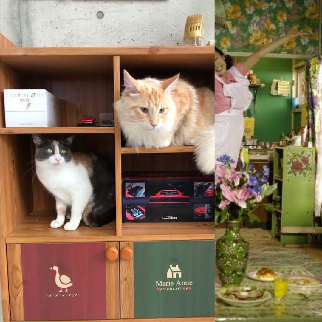 白井産業 Marie Anne 昭和レトロ 本棚 収納ラック 扉付き 雑誌ラック