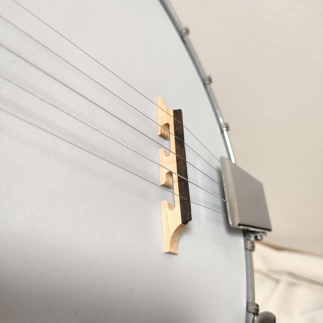 美品 廃盤 ARIA SB-100 5弦バンジョー ハードケース付 送料込み - メルカリ