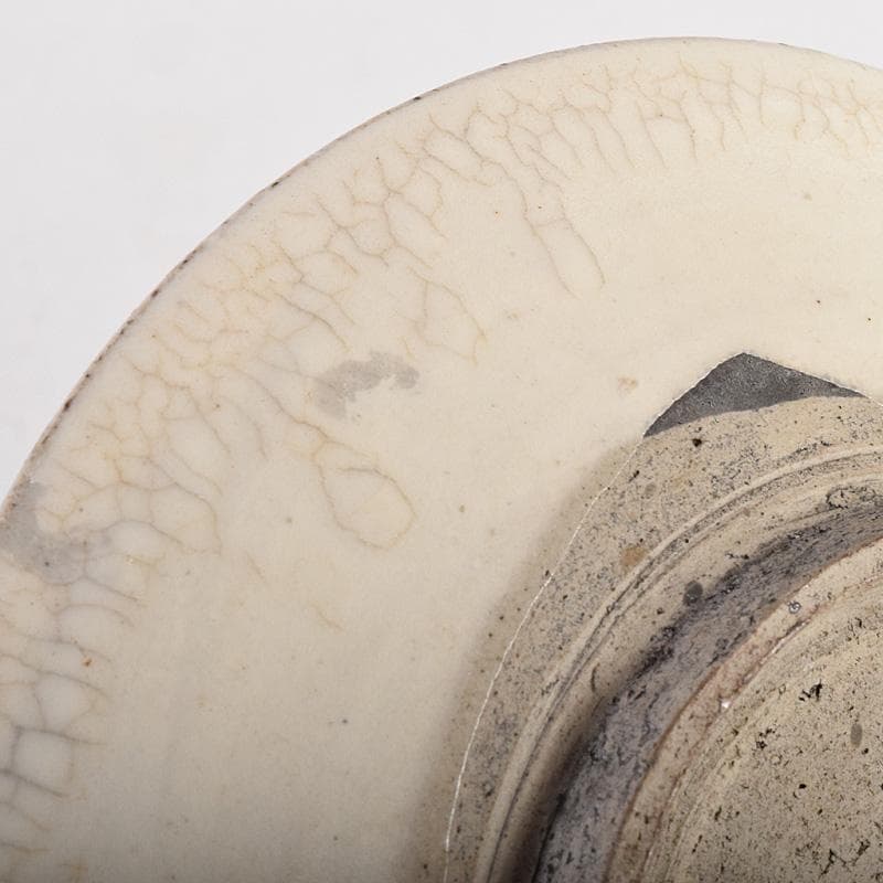 中国 赤絵 魚藻文盤 皿 V R8757 - メルカリ