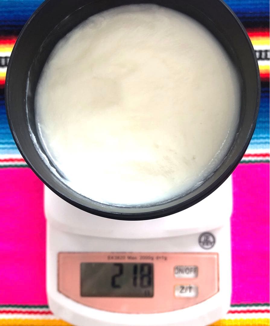 kadiceシャンプー1000ml&lushスカルプトリートメントセットの通販