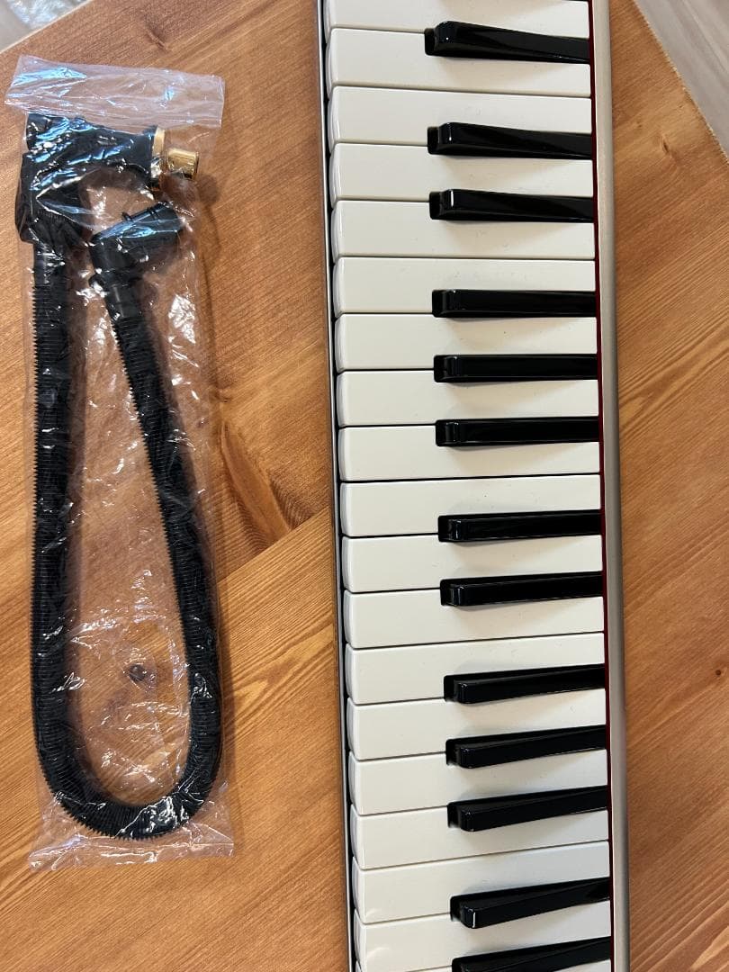 HAMMOND PRO-44Hv2　鍵盤ハーモニカ　アルト　44鍵　ハモンド Amazon | スズキ 鍵盤ハーモニカ ハモンド HAMMOND44 PRO-44Hv2