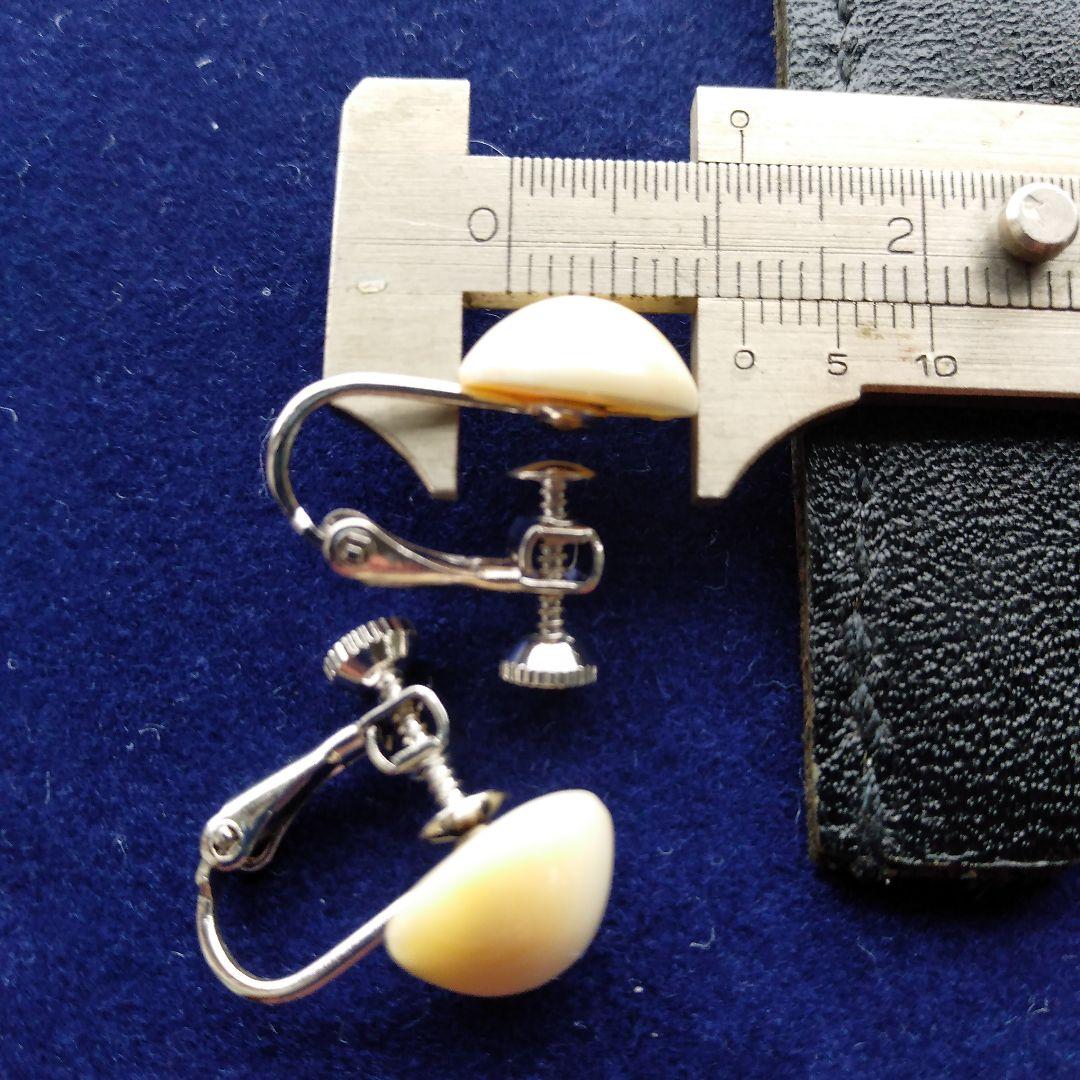 鯨歯 マッコウクジラ イヤリング＆ピアス - メルカリ