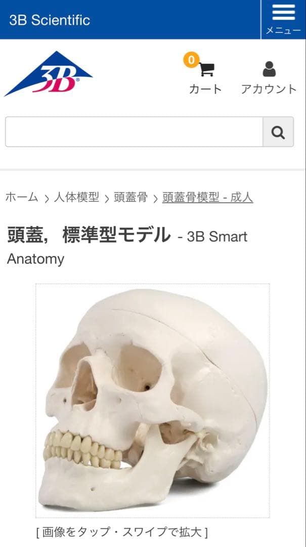 脳模型 5分解モデル 3B Smart Anatomy 実物大 新品未使用 - メルカリ