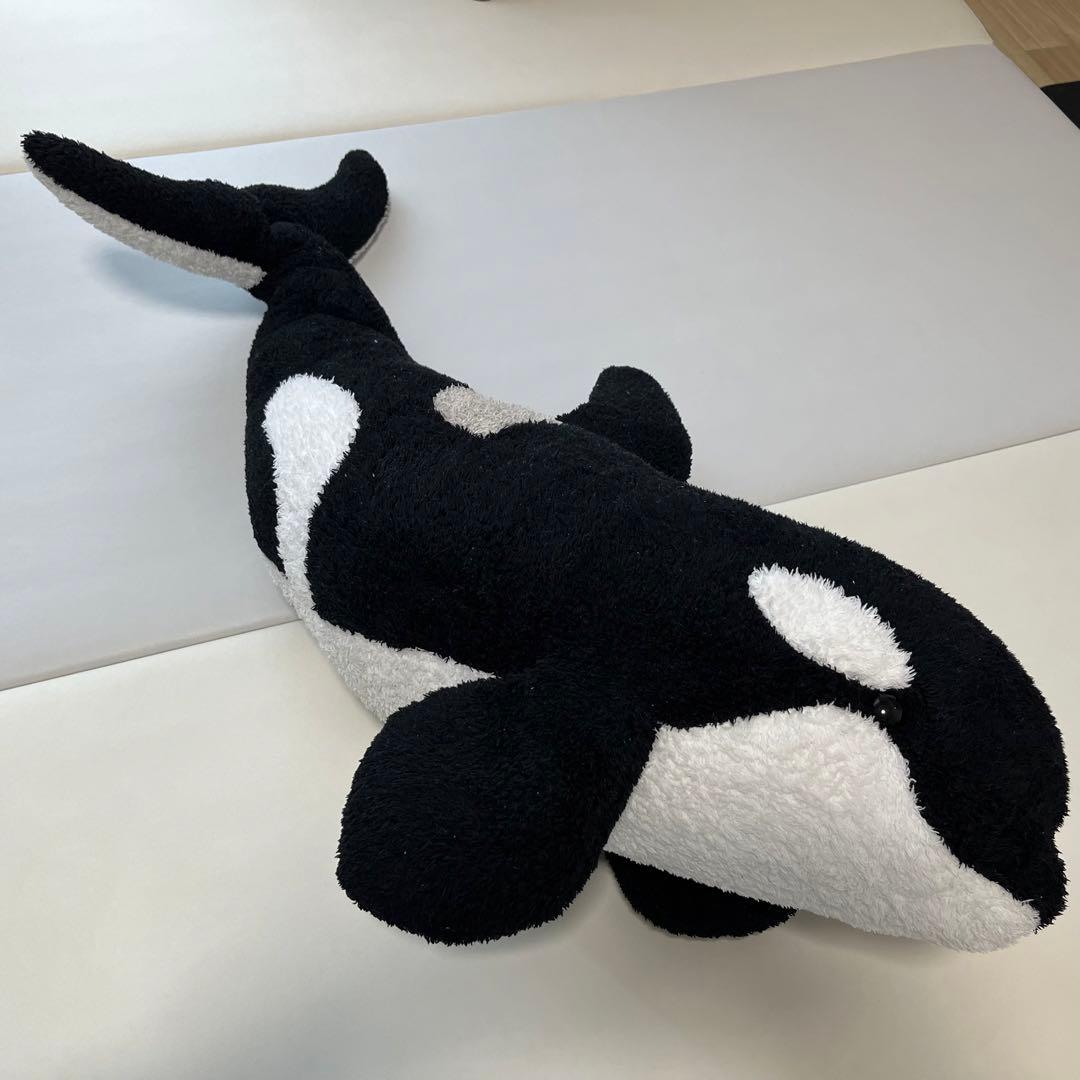 鴨川シーワールド シャチ ぬいぐるみ 約80cm - メルカリ