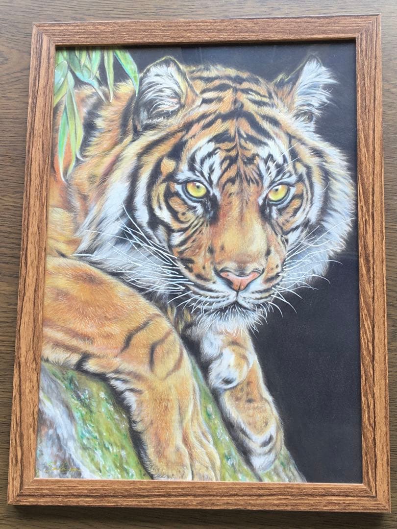 色鉛筆画 トラ 動物画 手描きイラスト 虎 - メルカリ