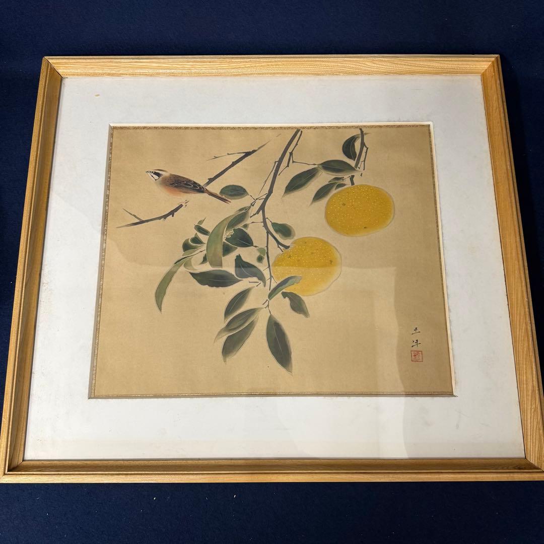 絵画 奥村土牛 蜜柑 みかん ミカン 鶯 うぐいす ウグイス 鳥 奥村土牛 掛け軸 蜜柑 【掛軸】【一間床・半間床】【丈の短い掛軸