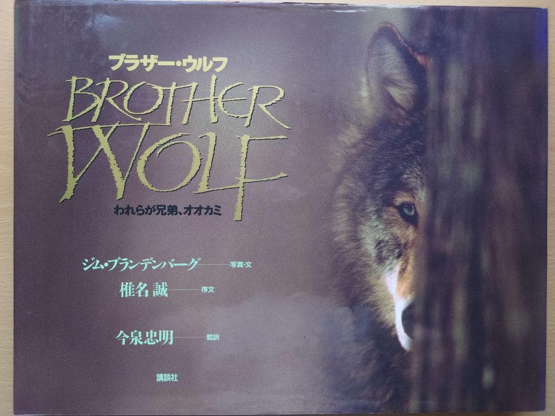 ジム・ブランデンバーグ「白いオオカミ」「ブラザー・ウルフ」絶版