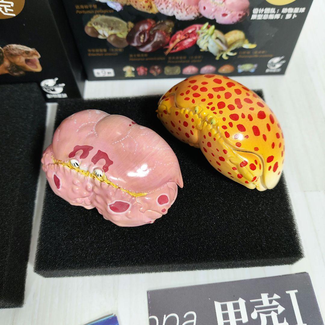 動物の惑星】激レア☆カミツキガメ限定品+カラッパ廃盤品!! フィギュア