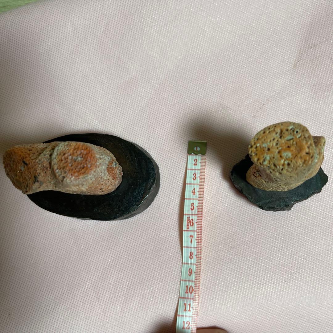 桃サンゴ？ 珊瑚風 置き物 2点まとめ売り - メルカリ