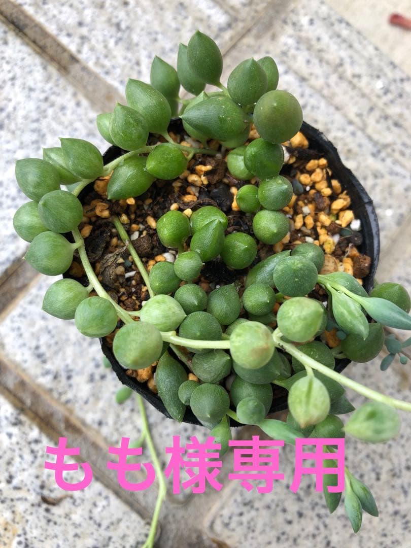 もも様確認用 ウェビックガレージセール | ハーレー ☆ 汎用 社外 アルミ レバー