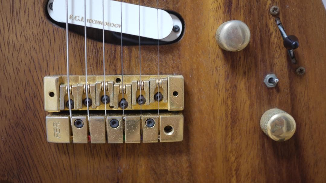 FERNANDES REVOLVER FR-100 モンキーポッド - メルカリ