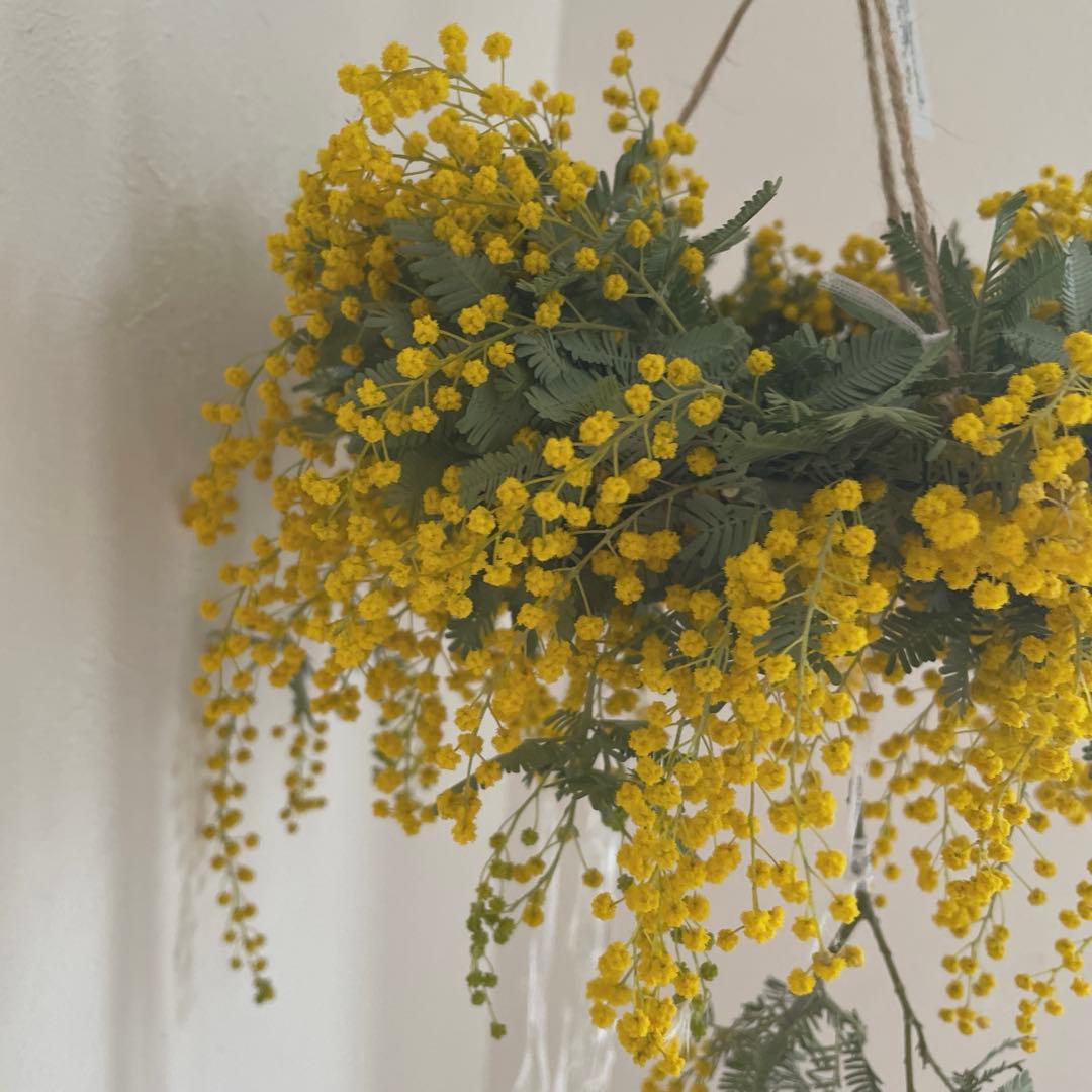 フライングリース＊春よ恋恋☘️ミモザリース#848 - メルカリ