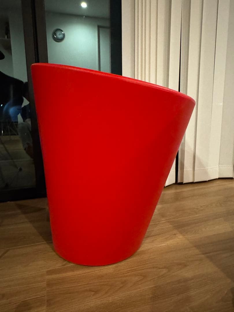 セラルンガ　赤　鉢　インテリア　観葉植物 ドラセナ 赤ドラセナ 観葉植物 8号鉢/1個売り リュウゼツラン