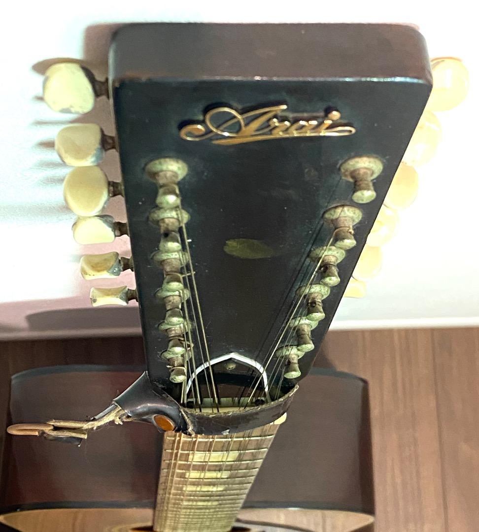 送料込み】Arai 12弦 アコースティック ギター W100 - メルカリ