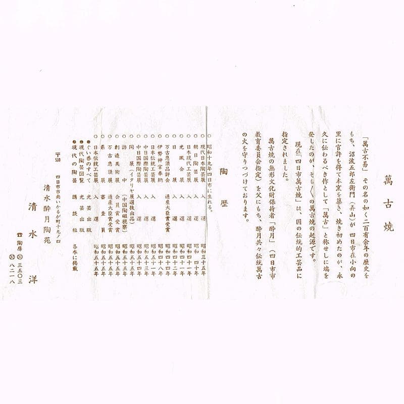 茶道具 萬古焼 清水洋造 横手急須 茶壷 共布共箱 V 6427 - メルカリ