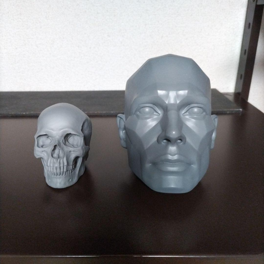 ドクロ＆ポリヘドロンマン　人体　フィギュア　頭蓋骨　美術　アナトミー Amazon.co.jp: 教育モデル、ヒューマンモデルクラフトヒューマン