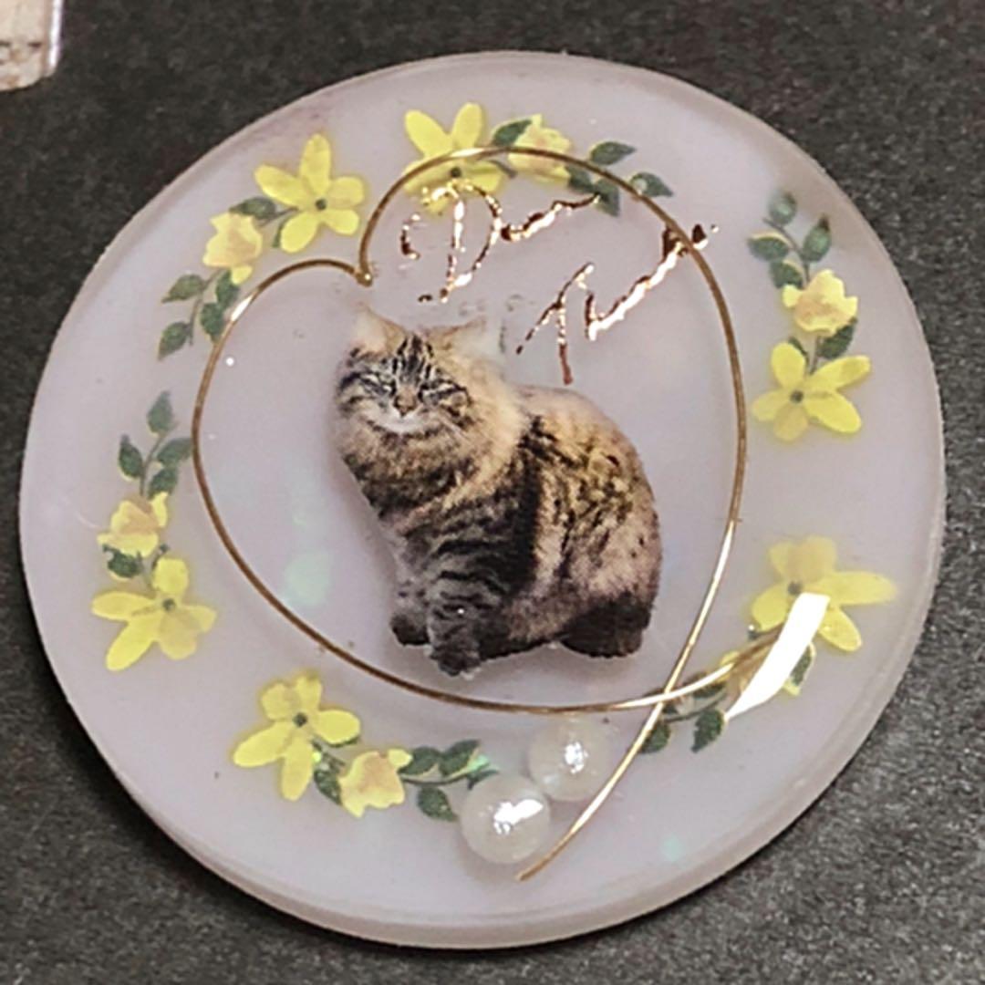 NO.121 おすまし♡猫ちゃん 史上最強に可愛いアクア 前の写真です🥰 #絵描きルビア #ラグドール