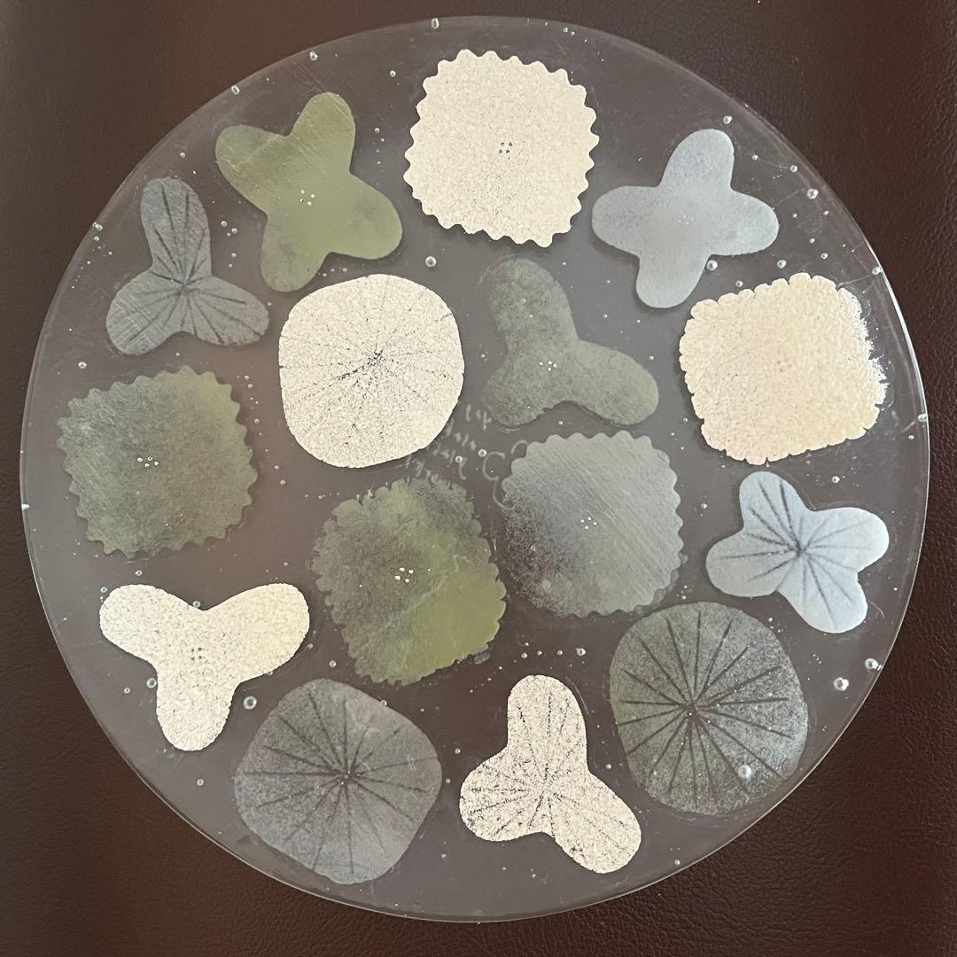 【新品】八木麻子　ブーケ　ブルーグレー　花 新品】八木麻子 ブーケ ブルーグレー 花 - メルカリ