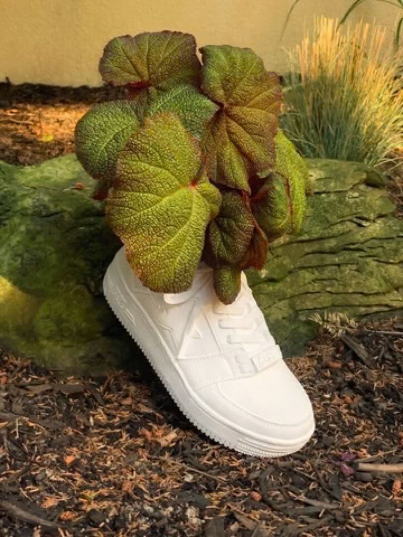 激レア Bape x Bodega Rose Bapesta プランター 未使用 - メルカリ